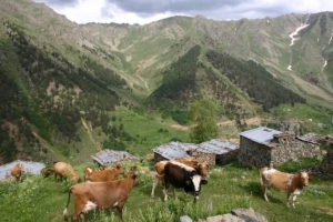 Yusufeli Eski Resimleri