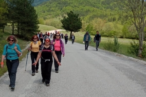 3. Doğa Yürüyüşü