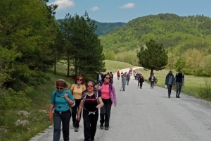 3. Doğa Yürüyüşü