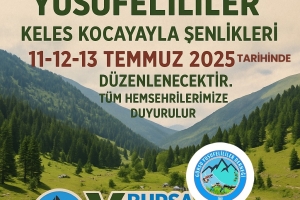 Kocayayla Festivali Geçmiş Dönem Afişleri