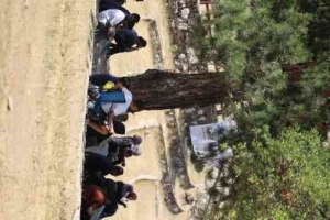 30. GELENEKSEL YUSUFELİLİLER KELES KOCAYAYLA ŞENLİKLERİ 